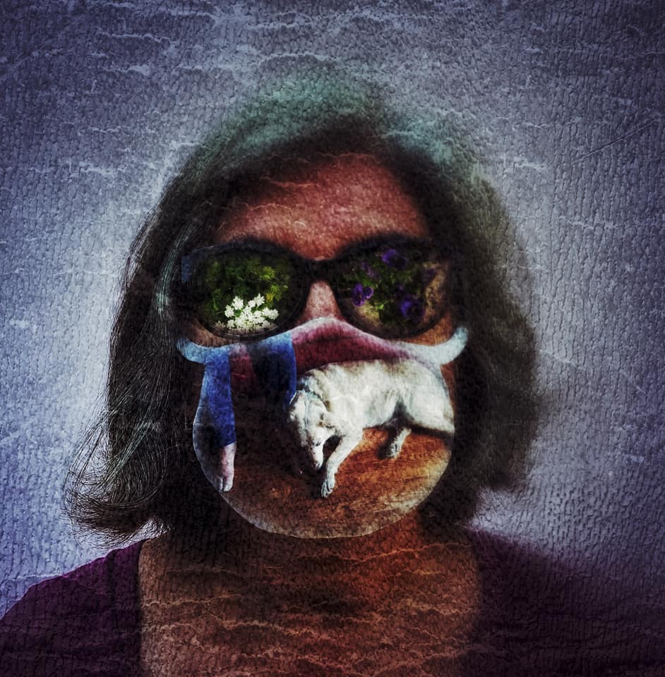 Wendy Chappell Dick's Digital Art Display entitled Masks 