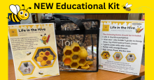 New Educational Kit - Life in the Hive