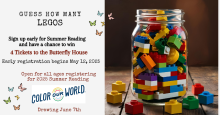 Guess how many Legos