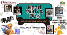 Read with a Dog & Bunny